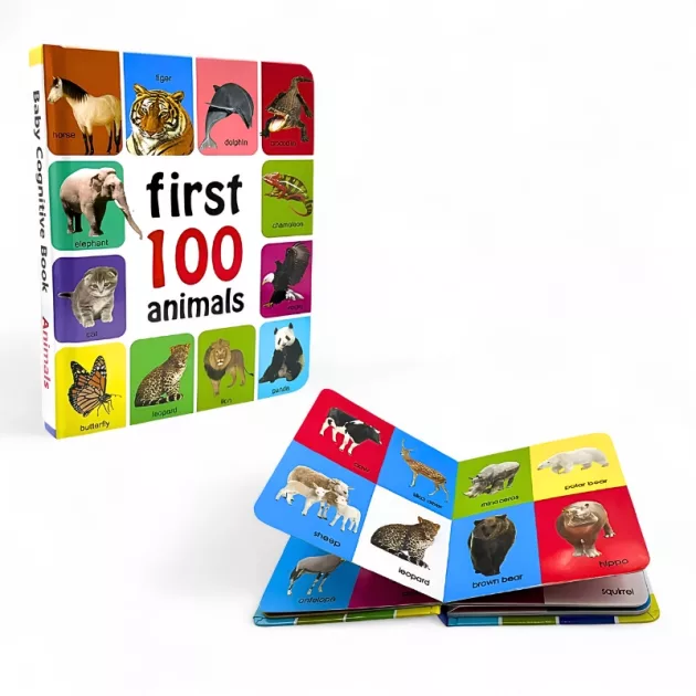 Main_Educational Encyclopedia Book for Kids.jpg