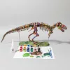 t rex dinosaur model, dinosaur skeleton assembly, dinosuar assembly toy